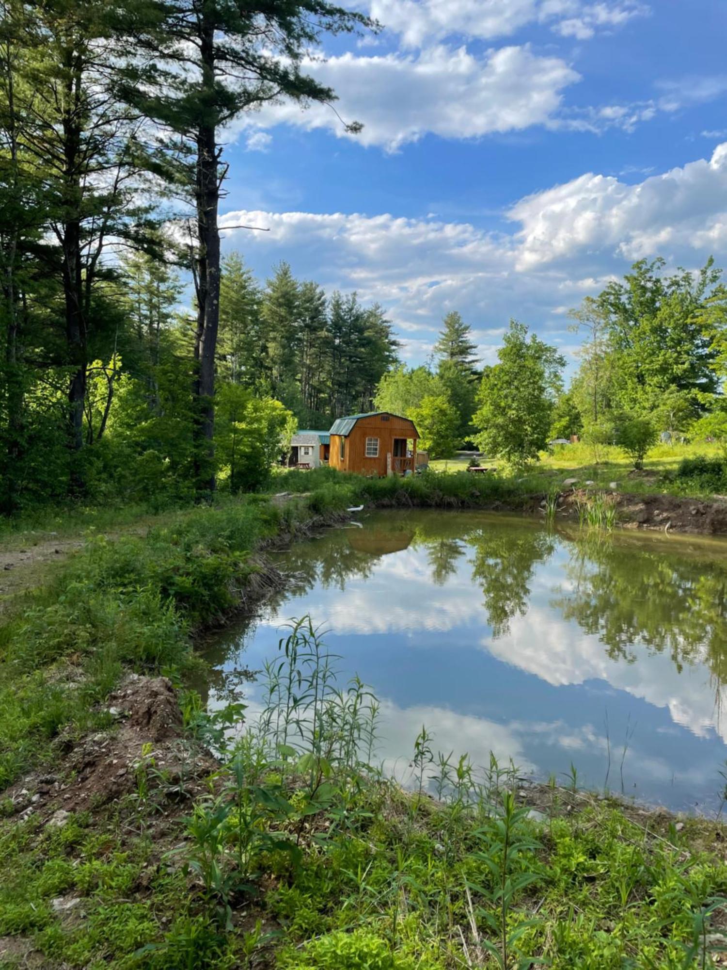 The Hideaway Tiny Cabin East Durham Exterior photo